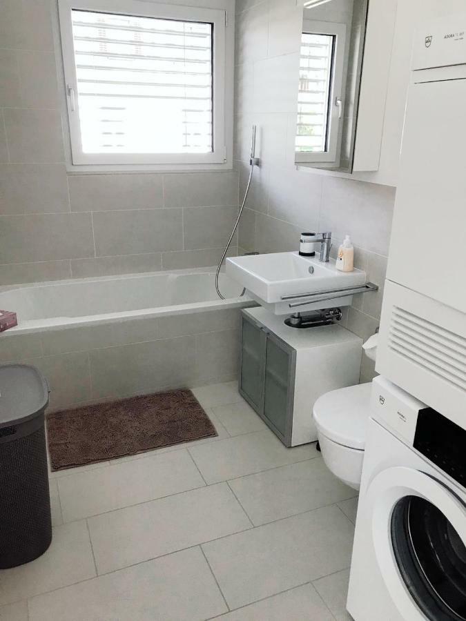 Easy-Living Apartments Dietwil Bagian luar foto